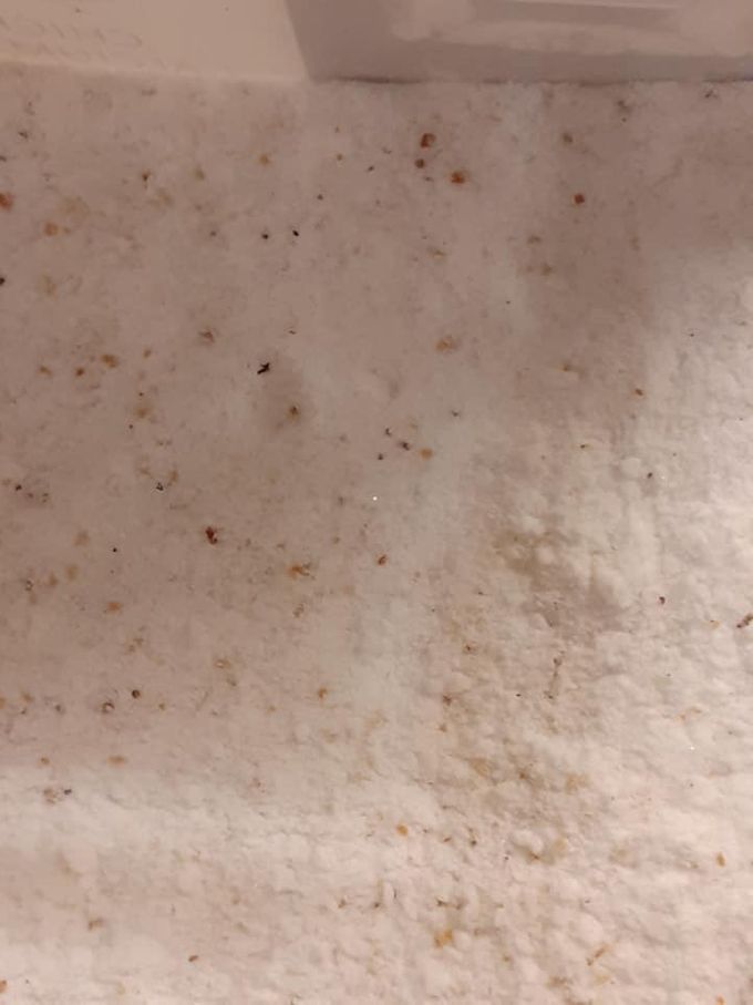 Så här ser det färdiga saltet ut. Mycket uppskattat av alla som använder det, den perfekta kryddan i all mat. Saltet säljs i påsar om 100 gram för 100 kronor. Kan enkelt skickas med posten. Vill du köpa eller har frågor så kontakta mej på svampsok(a)gmail.com