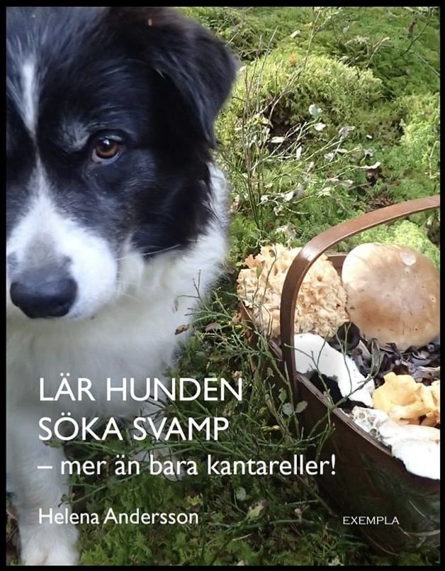 Omslaget till kommande bok.Uppdateringar kommer så ha koll på denna sida